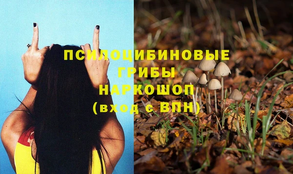 спайс Сосновка