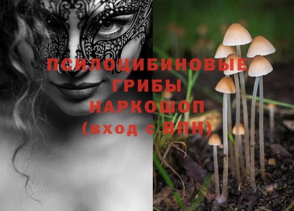 mix Белокуриха