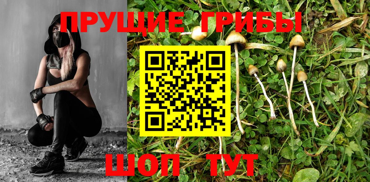 Псилоцибиновые грибы MAGIC MUSHROOMS Верхняя Пышма