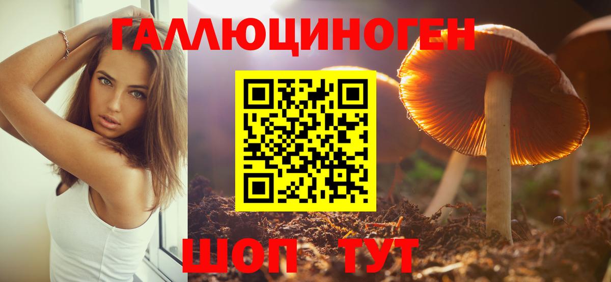 где купить наркотик  Вход с VPN  Верхняя Пышма  Псилоцибиновые грибы Cubensis 